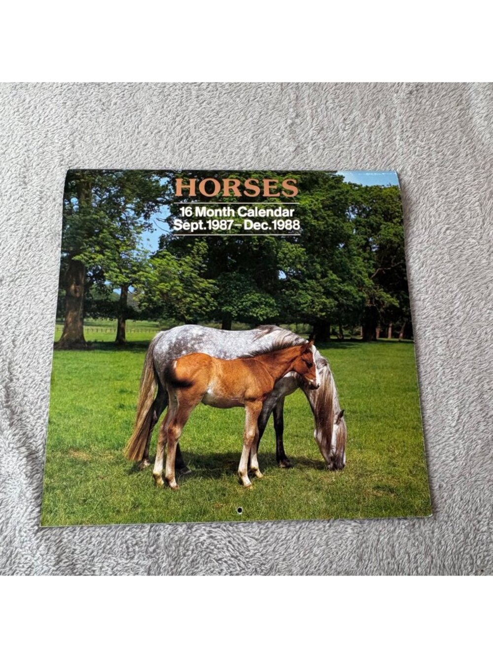 Vintage Horse Calendar Sept 1987 December 1988 Sofaco AG Publisher Welsh Cob